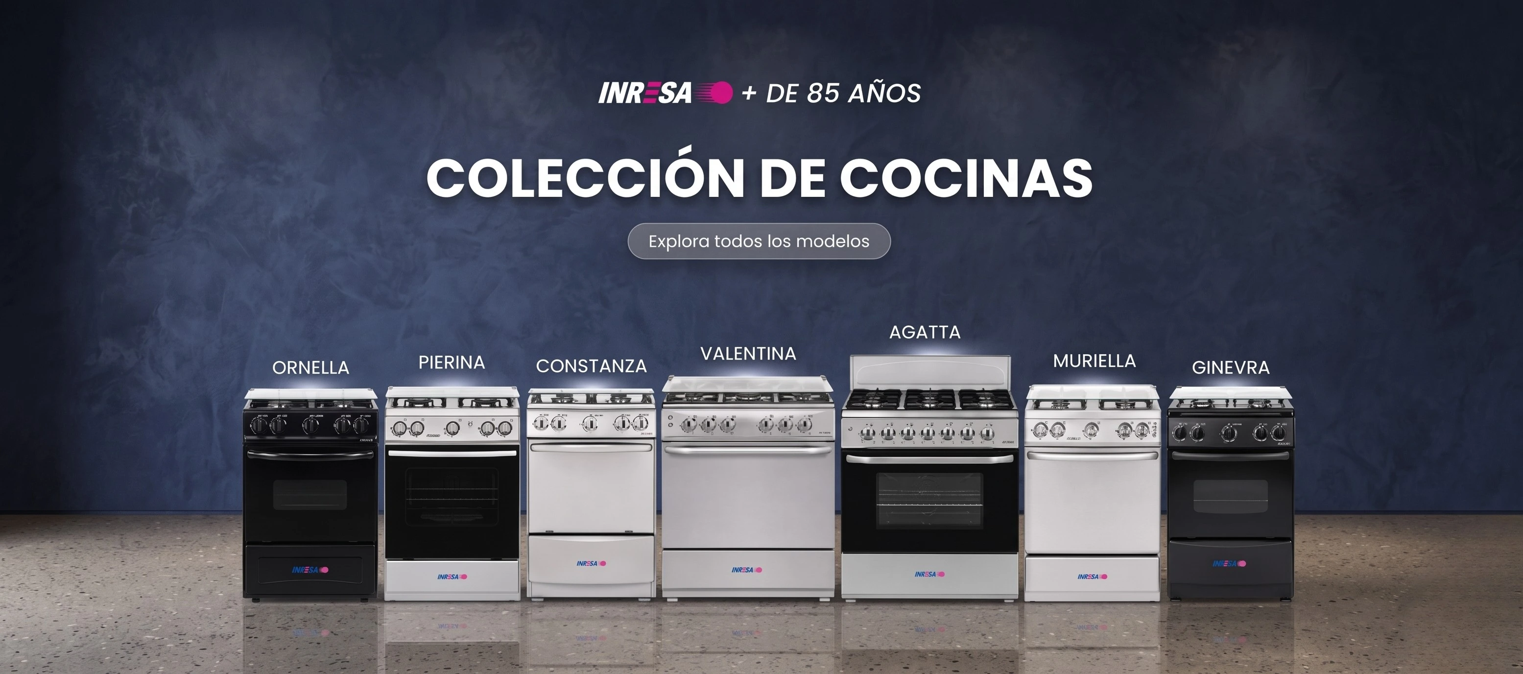 Colección Oficial de Cocinas de INRESA